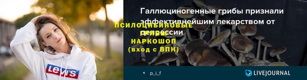 соль ск Кодинск